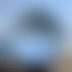 Lensball mit Spiegelung von Bergen, See und blauem Himmel in Luzern – Symbolbild für den Blick auf das große Ganze