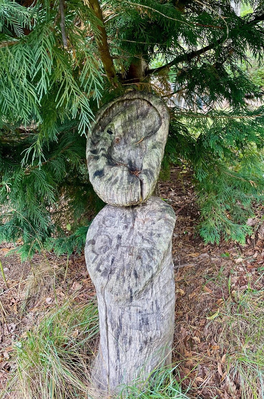 Baumstumpf mit geschnitztem Ohr und der Inschrift „Ganz Ohr“, umgeben von Zweigen eines Nadelbaums.