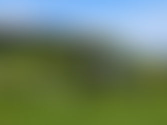 Haus Gries im Frankenwald