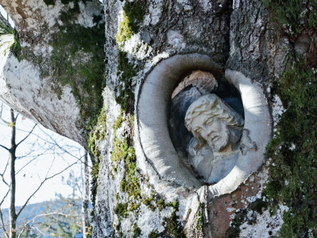 Satt geworden (Joh 6, 26)