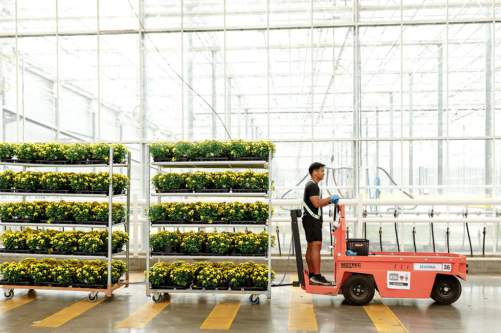 Growing with Care: How Rainbow Greenhouses Nurtures Water and Community