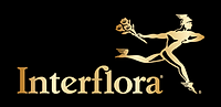 interflora-logo-7D545748DC-seeklogo.com.