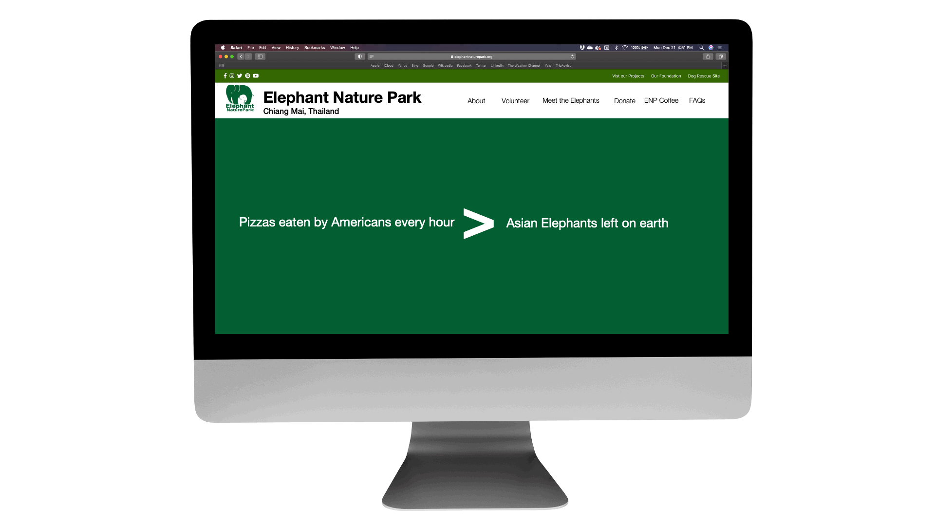ENP Home Page.gif