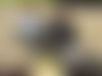 TUC Branches Out with Canon Canada