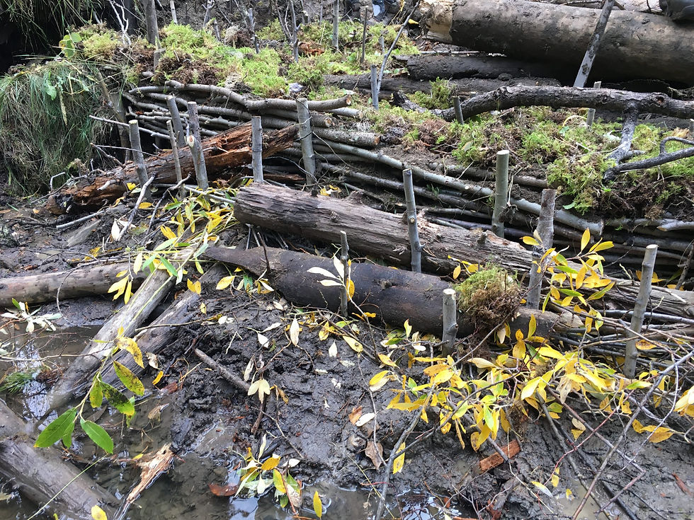 Fall Creek