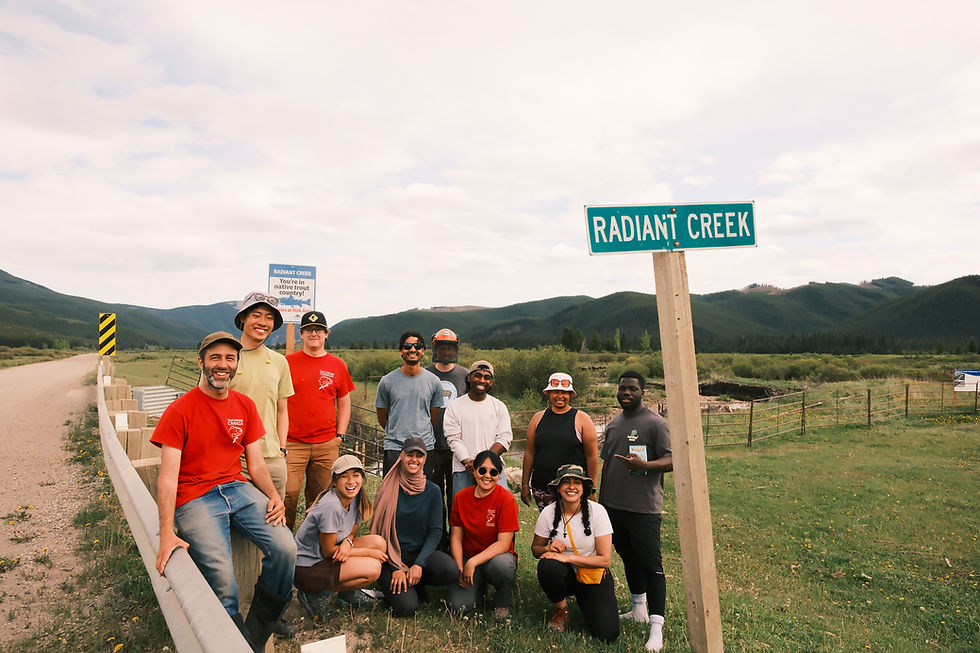 We are bringing Conservation and Community together with positively “Radiant” results!