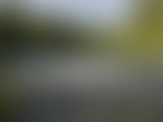 Collaboration in a Sensitive Watershed