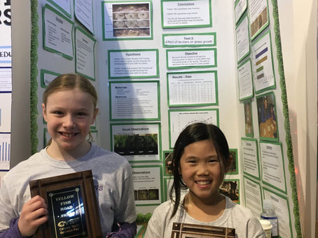 Salt is Not Good for Plants or Water