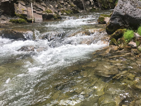 TUC and AEP Meet to Discuss Coal