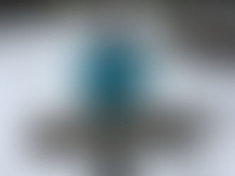 Alberta SWAT Program