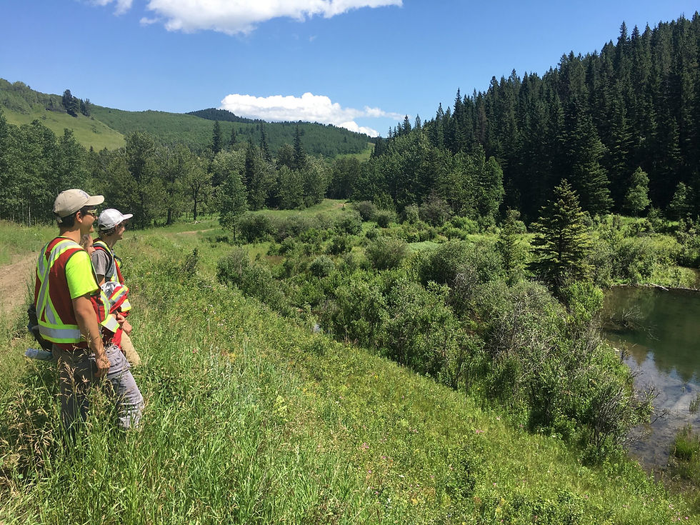 If the Trout Are Gone, Is It Still Trout Creek?