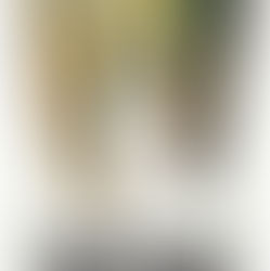 Join TUC for Finding Fontinalis