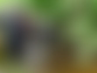 TUC Contributes To Key Paper