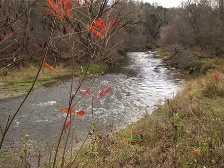 TUC Voices Concerns Over Ontario’s Bill 66