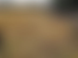 The Raven River Riparian Protection Project