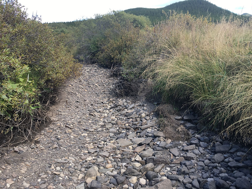 Dry creek bed showing drought conditions