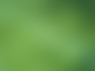 What Exactly Is Blue Green Algae?