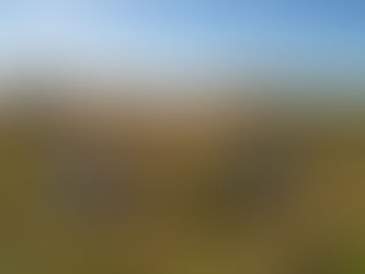 Enforcing Bull Trout Strategy