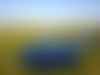 Beaumont Fishery Enhancement Project