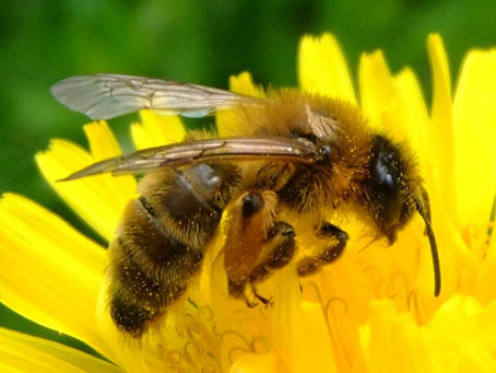 Please Sign the Petition