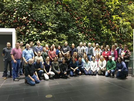 Stream Rehabilitation Training Program