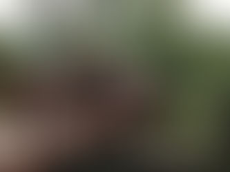 Thanks to the RBC Blue Water Fund