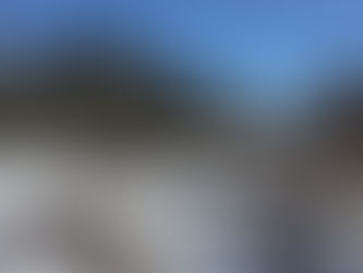 Restoration Begins Along Alberta’s Rocky Creek