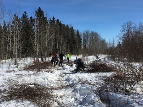 Restoration Begins Along Alberta’s Rocky Creek