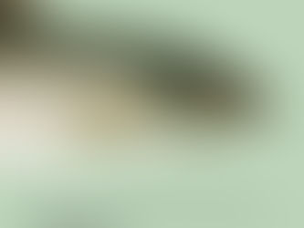 A Contemplative Angler