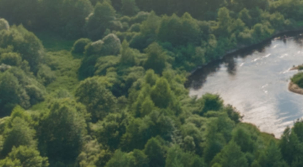 Panaramic view from a height of a flying drone on a summer landscape. Lake and river, fiel