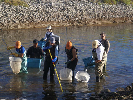 2016 Alberta Fish Rescue