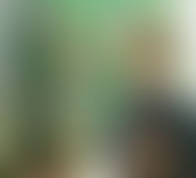 2016 YFR Award Winner