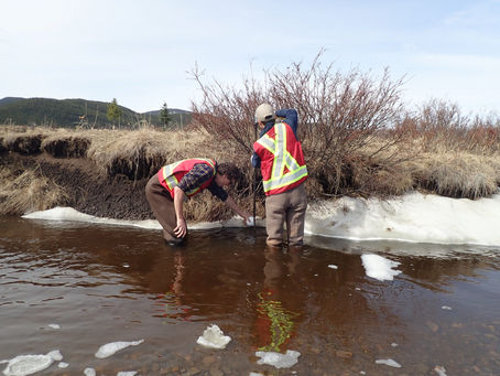 A WHIRLwind of a Season for the Whirling Disease Program