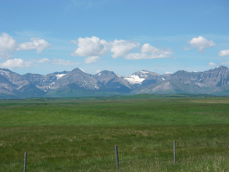 Action on Recovery Forum