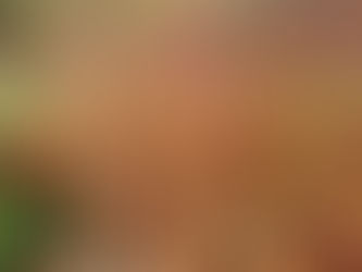 Private Tree Planting