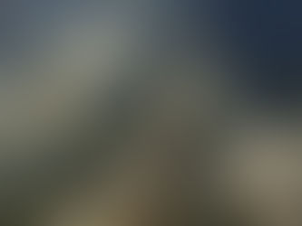 Alberta Fisheries Stakeholder Advisory Committee and Science Review