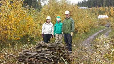 Prairie Creek, Looking Back and Ahead