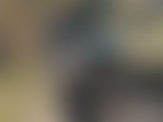 Topographical Heterogeneity (AKA: Rough and Loose)