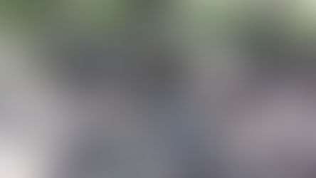 Shaganappi Community Creek Enhancement Project