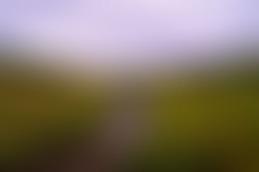 Stewardship License Pilot Project