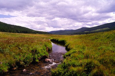 Stewardship License Pilot Project