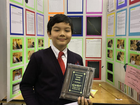 Yellow Fish Road Award