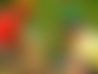 Annual Bronte Creek Family Fun Day and Duck Dash