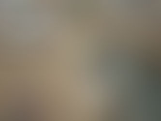 Improving Twelve Mile Creek