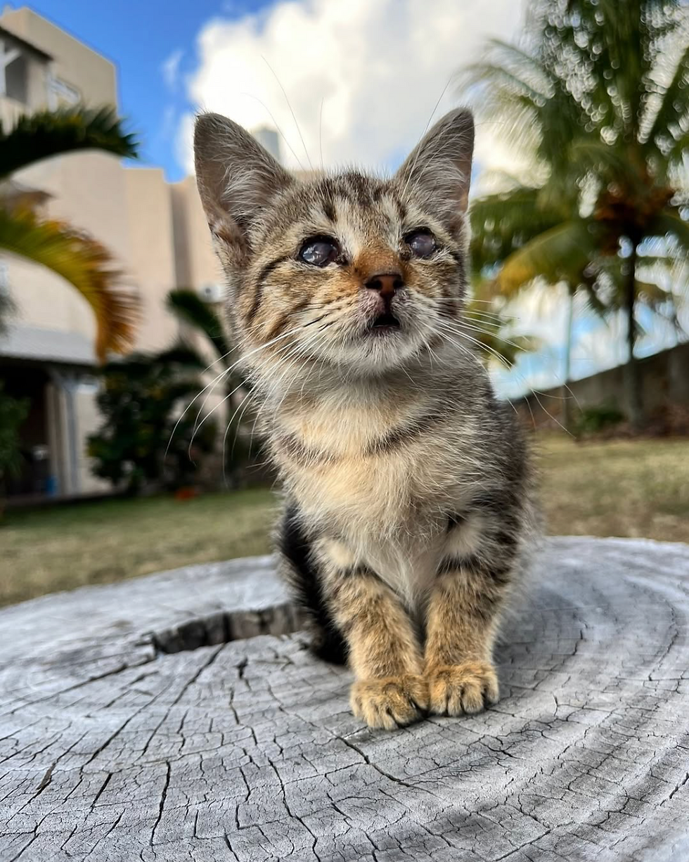 Screenshot 2025-03-17 at 17.55.12.png