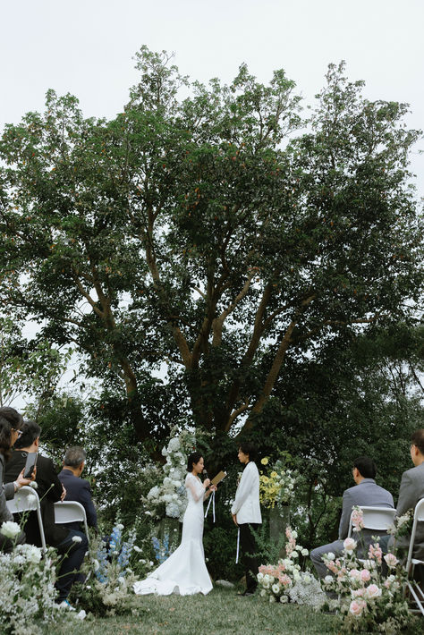 南窩綠丘大樹下戶外證婚婚禮儀式。
