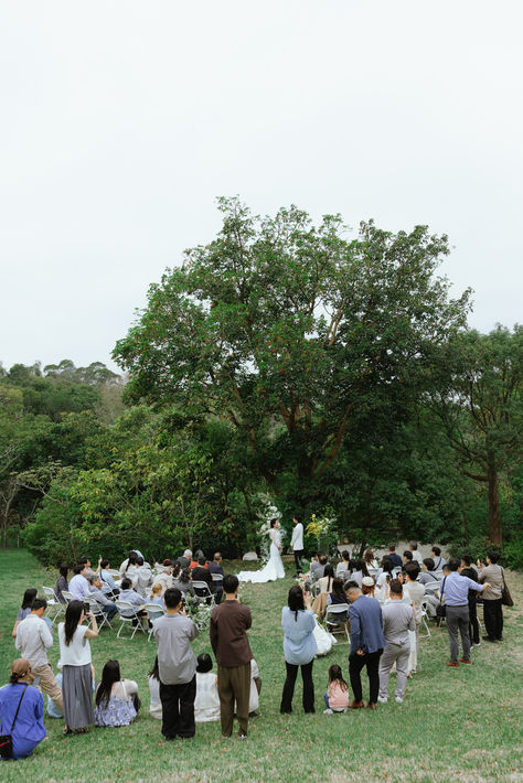 在南窩綠丘大樹下舉行戶外婚禮儀式