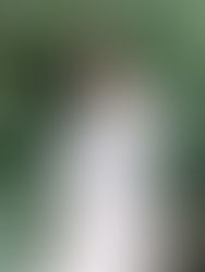 即使沒有晴天，微雨的溪頭卻擁有更迷人的柔光濾鏡。	溪頭婚紗攝影-微雨森林質感-Xitou-Rainy-Day-Wedding-Photography