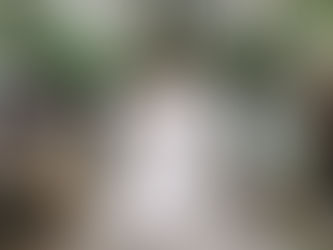 新人戶外證婚親友見證下開心進場