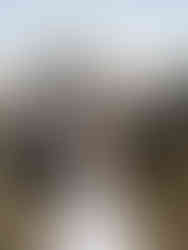 合歡山唯美婚紗